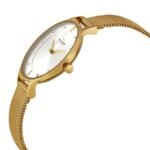 Orologio donna Skagen ANITA SKW2150 placcato oro giallo - immagine 2